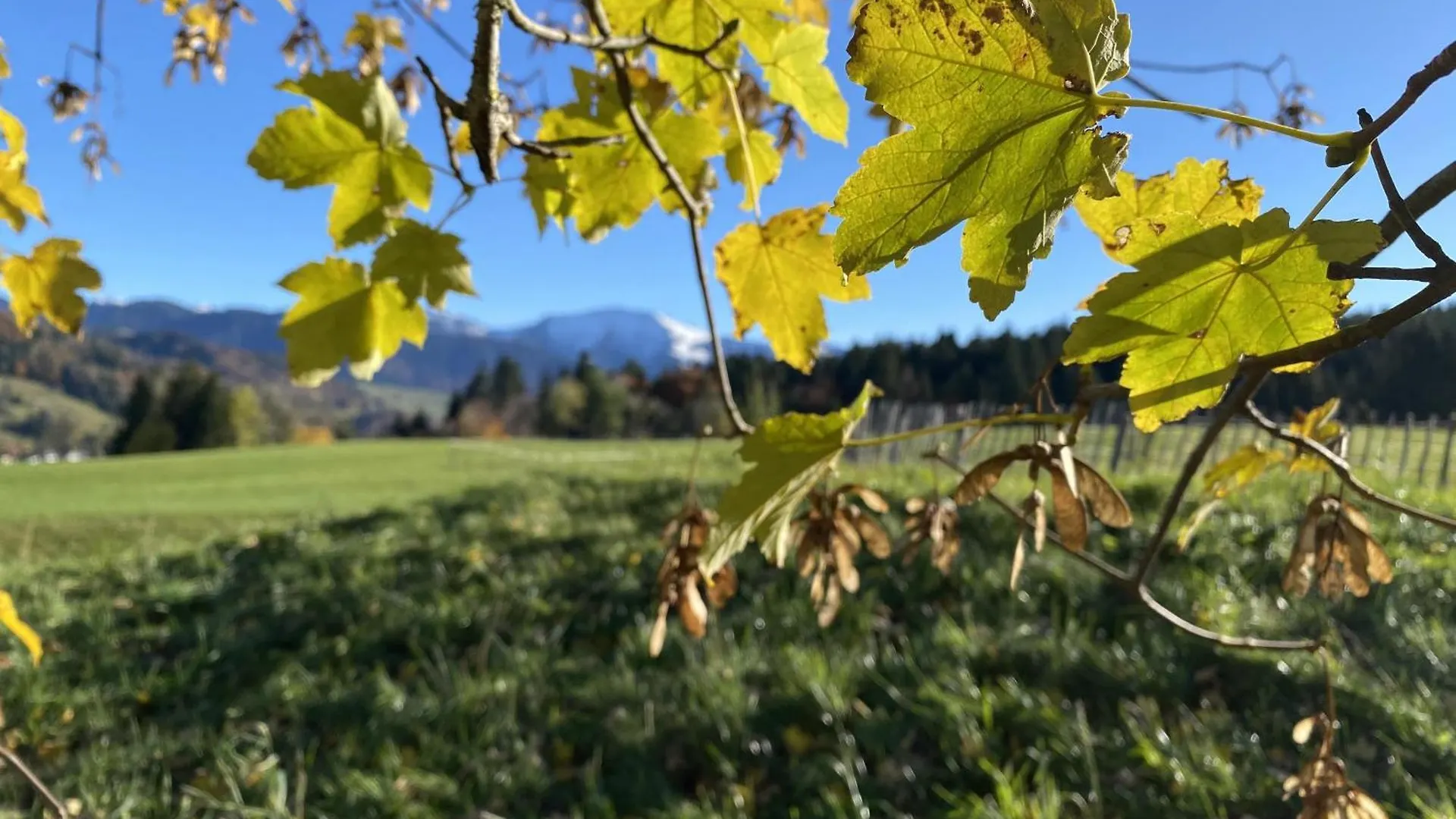 Gaehwindehof Mountain Ranch Resort Oberstaufen Chalet